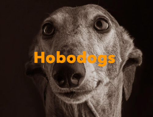 Hobodogs
